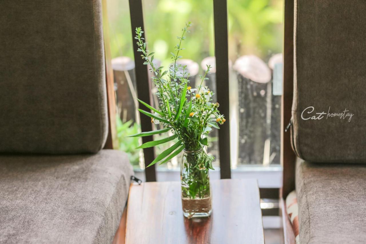 Cat Homestay フエ エクステリア 写真
