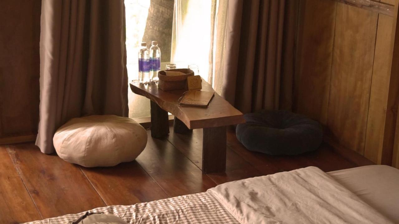Cat Homestay フエ エクステリア 写真