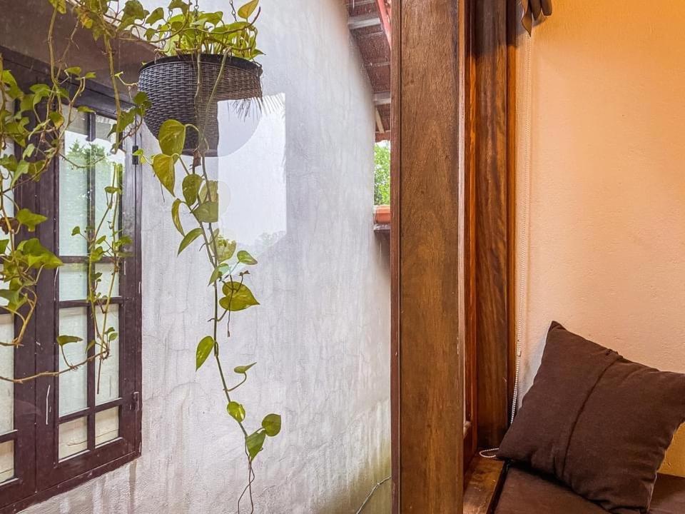 Cat Homestay フエ エクステリア 写真